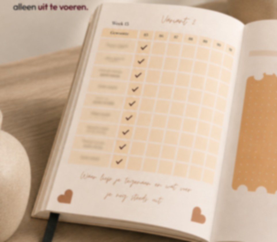 Paginavoorbeeld van Variant 2: dagelijkse check-ins en reflectievragen